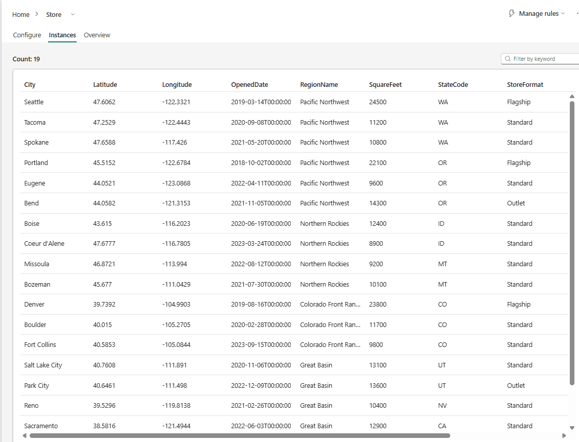 The Store entity type's Instances tab showing Count: 19, with every store's city, coordinates, opening date, region, floor area, state and format